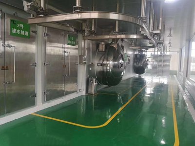 真空凍干機(jī)廠家講水冷凍干機(jī)的種類現(xiàn)狀 真空凍干機(jī)廠家講水冷凍干機(jī)的種類現(xiàn)狀